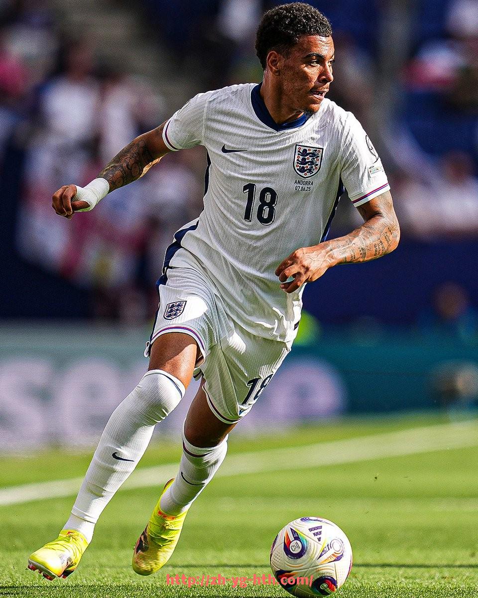 华体会hth-德甲拥有多少顶级球队?详细实力分布分析