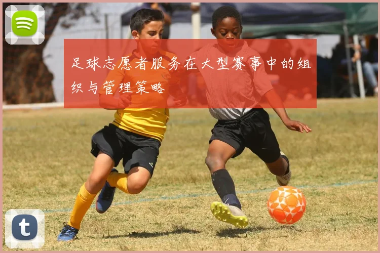 足球志愿者服务在大型赛事中的组织与管理策略