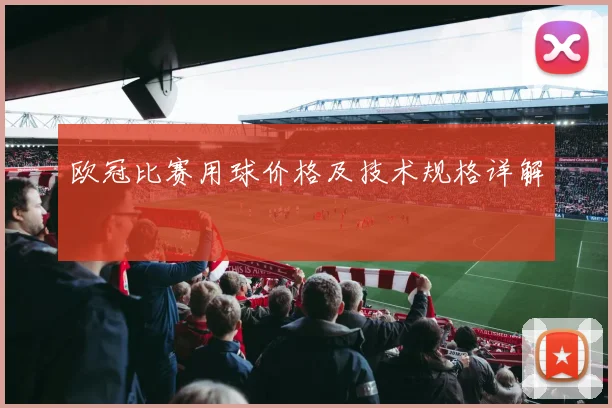 欧冠比赛用球价格及技术规格详解
